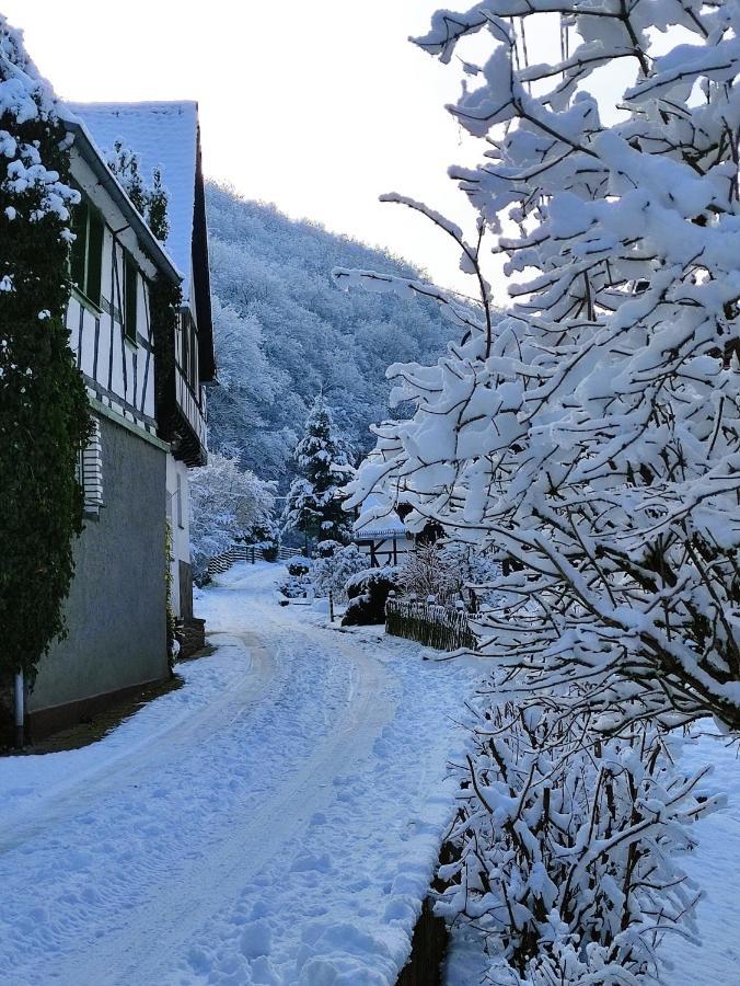 Ferienwohnung 'Unter Der Burg' Броденбах Екстериор снимка