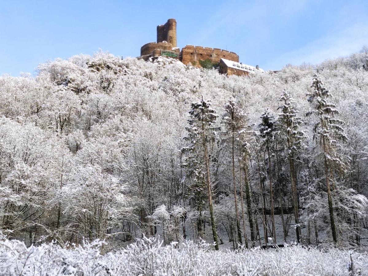 Ferienwohnung 'Unter Der Burg' Броденбах Екстериор снимка